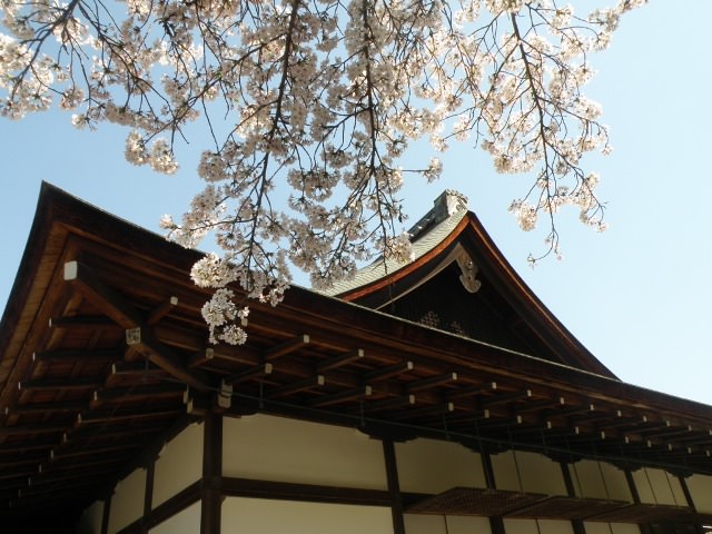 Στο ναό Tenryu-ji, Kyoto