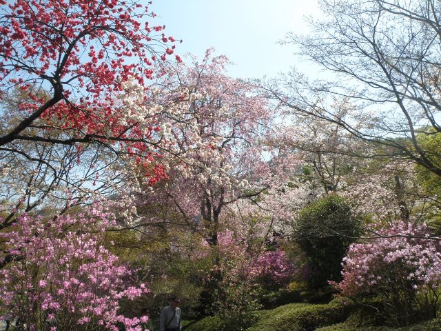 Στο ναό Tenryu-ji, Kyoto