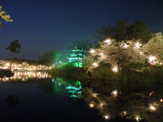 Στο cherry blossom festival της Takada