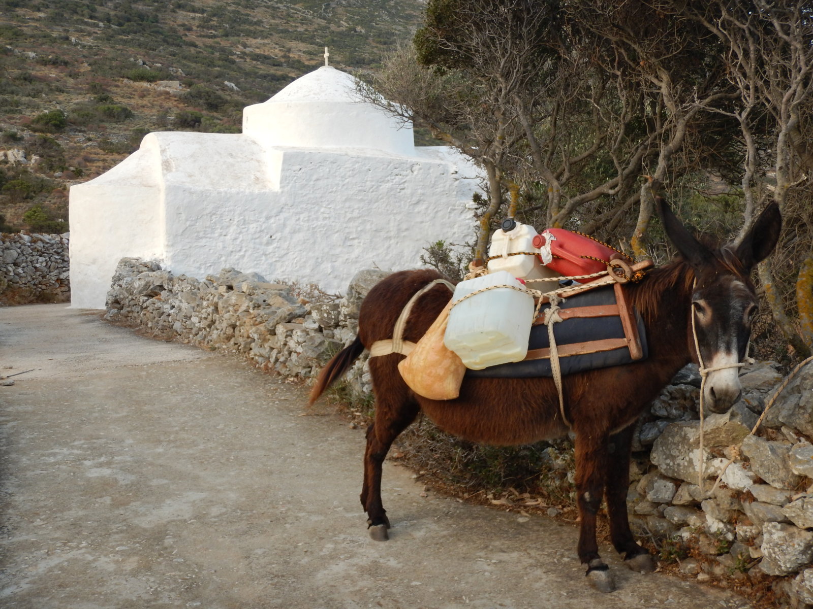 Στρούμπος