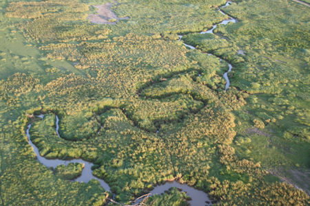 Το Serengeti από το αερόστατο