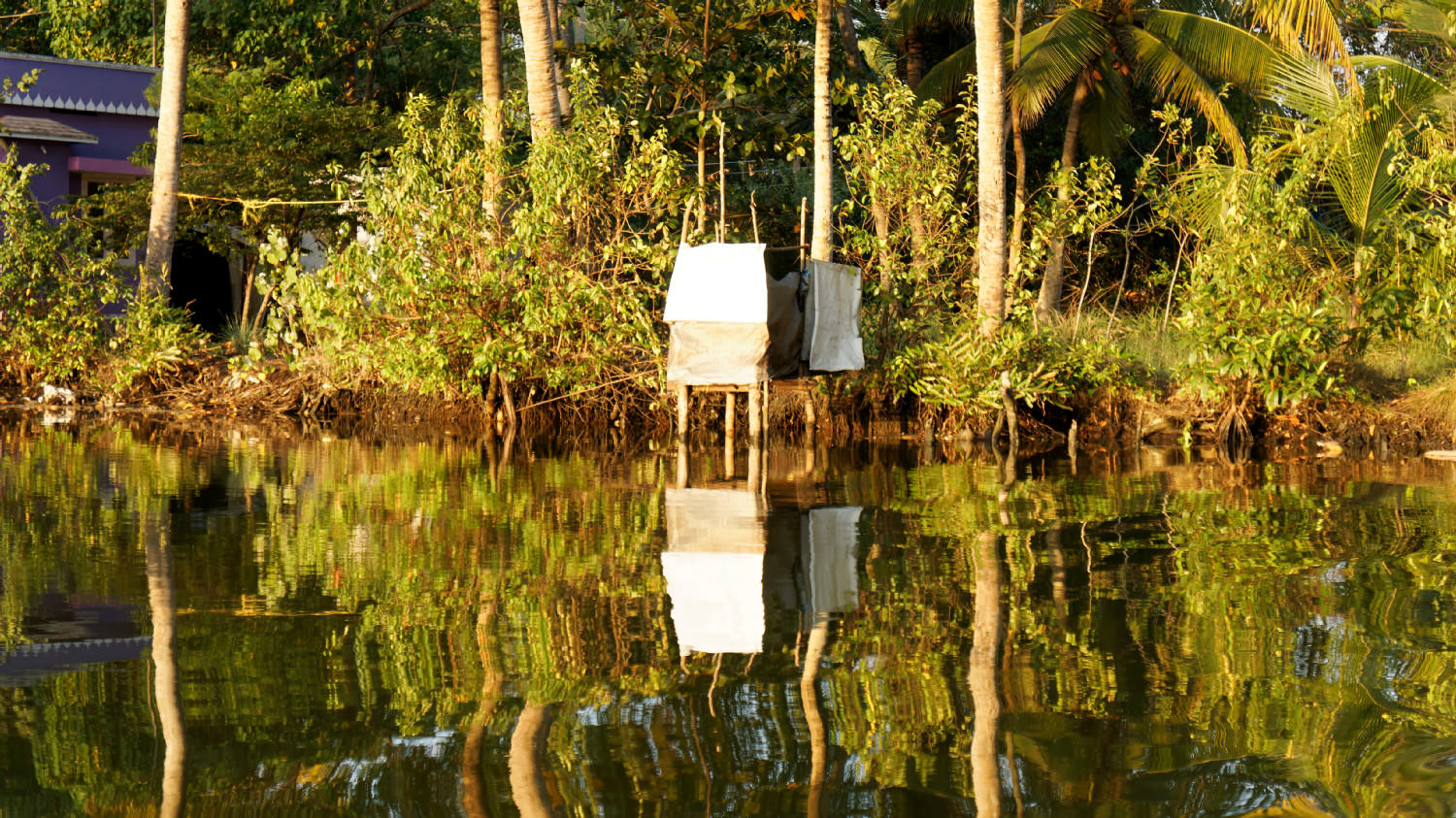 Υπάιθρια.... τουαλέττα με άμεση αποχεύτευση! Backwaters, Kerala