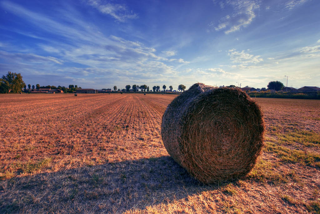 ΦΕΡΡΑΡΑ - ΙΤΑΛΙΑ 2011