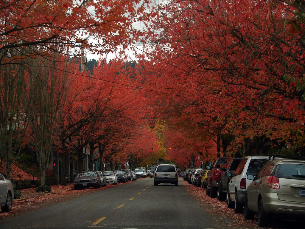 Φθινοπωρινό Portland