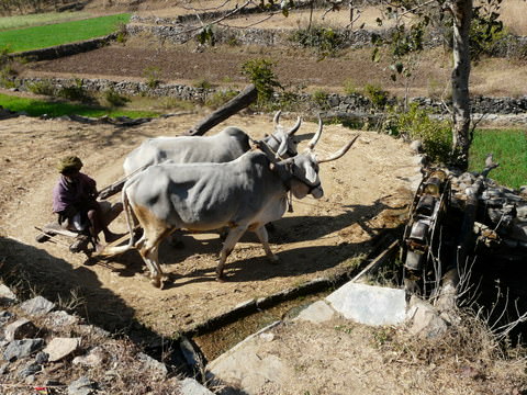 αντλία νερού..