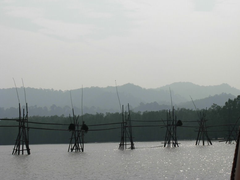εθνικό πάρκο Μπάκο, Sarawak Borneo