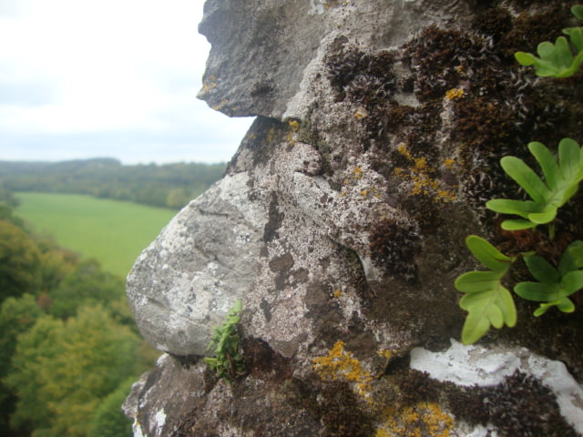 η μαγευτικη ιρλανδια