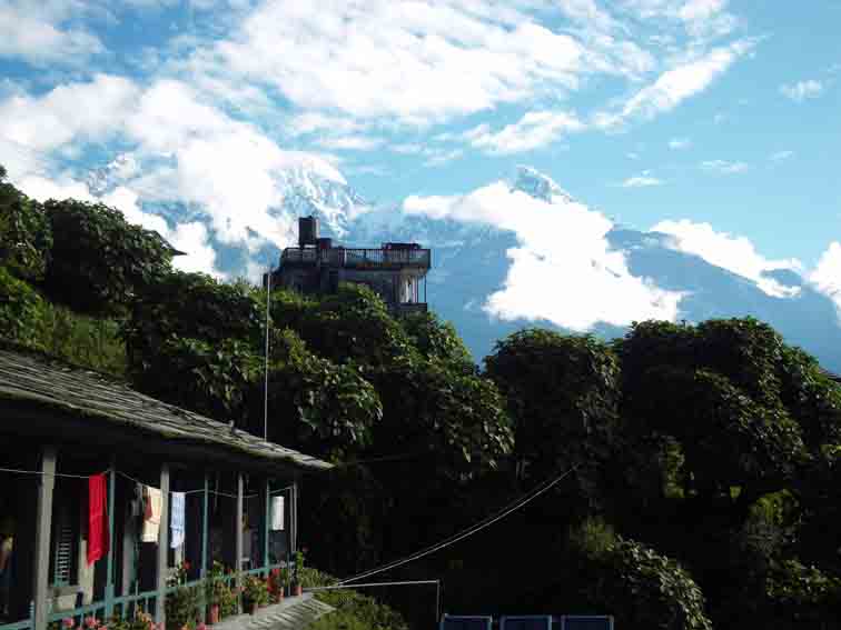 θεα απο το Gandruck, Annapurna region