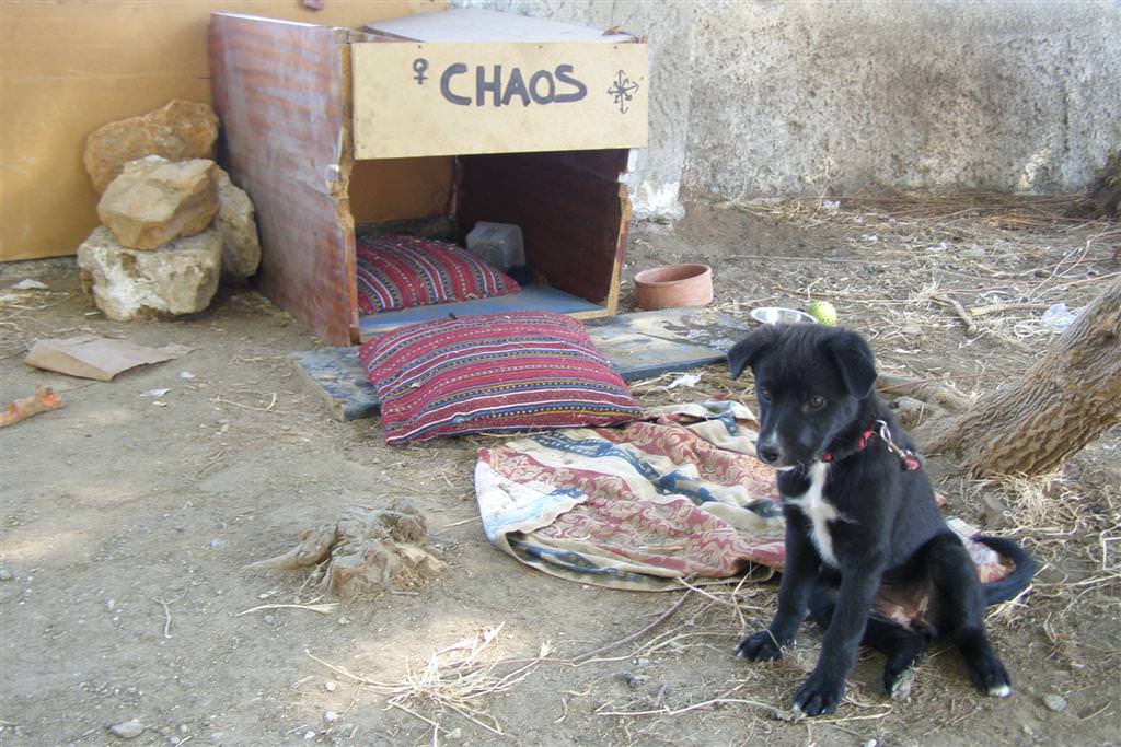 ο chaos στην αυλή του χώρου κατάληψης roza nera.