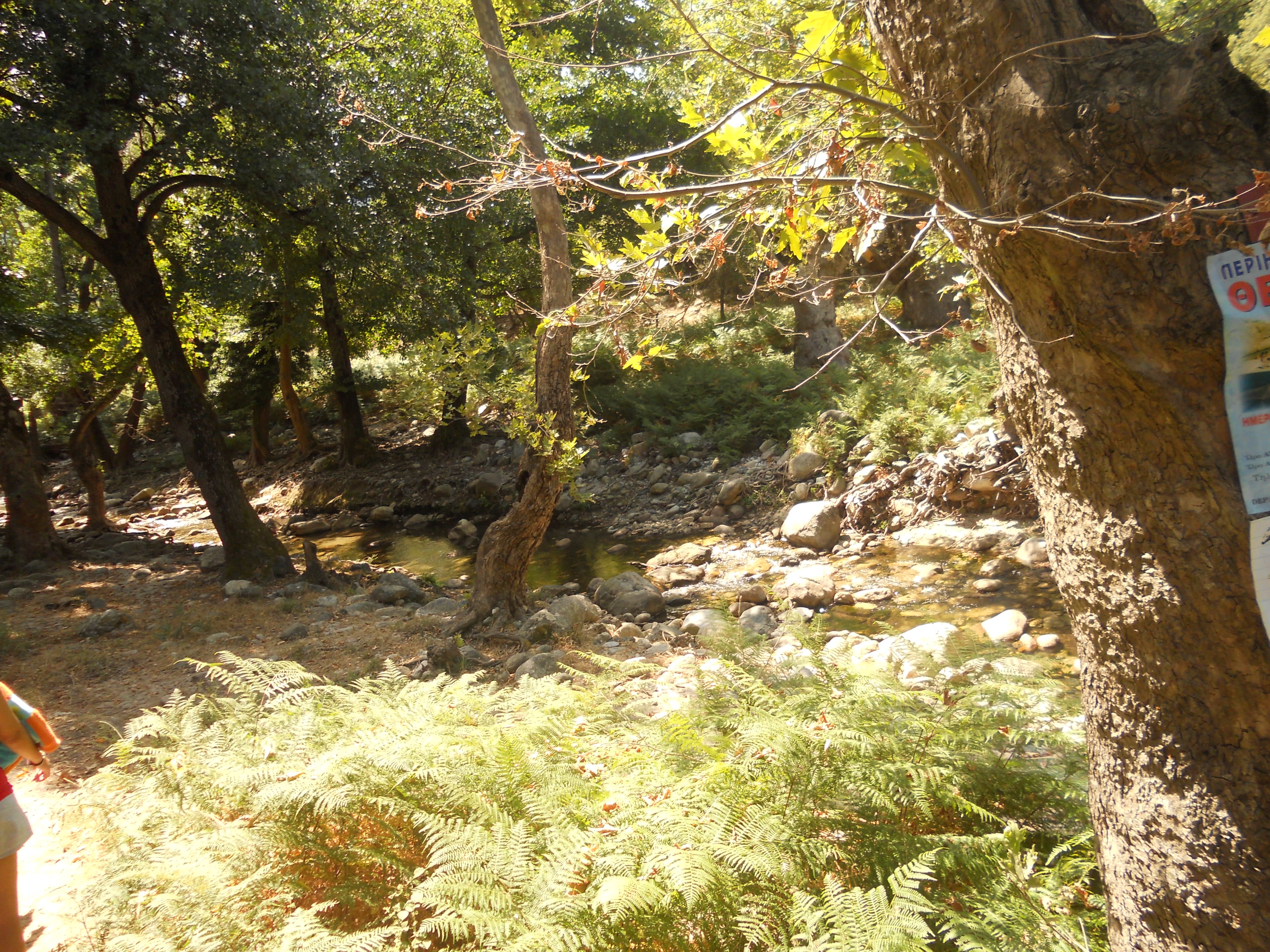 στη διαδρομή για την πρώτη βάθρα του Φονιά