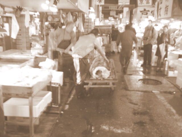 ψαραγορά tsukiji