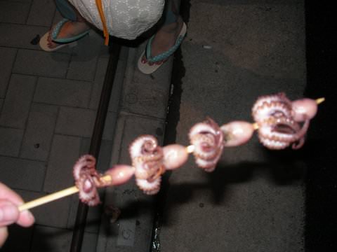 256