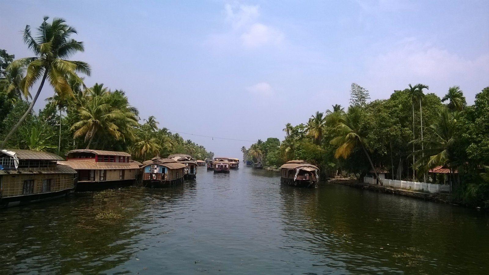 ALLEPPEY - BACK WATERS KERALA INDIA