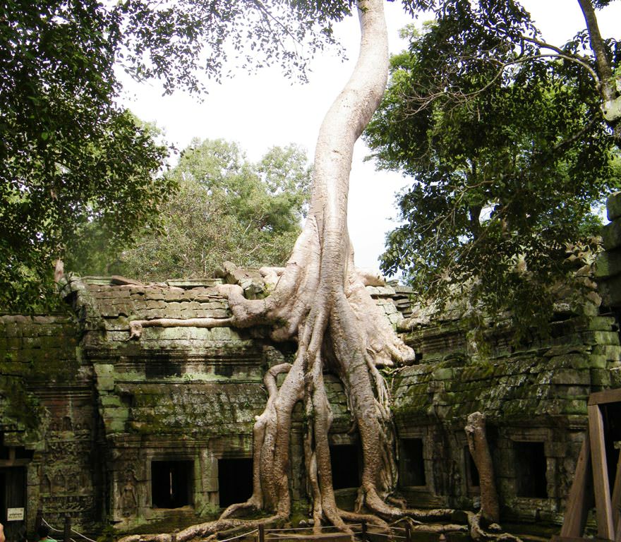 angkor1