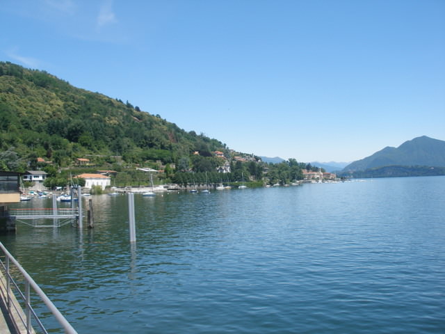 Arona