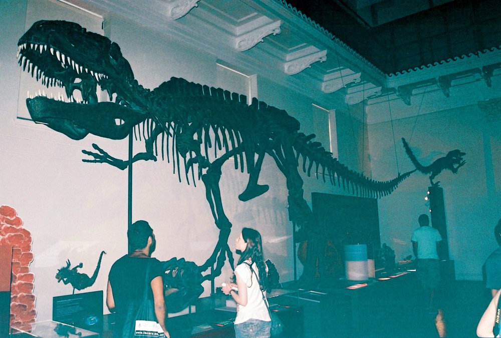 Australian Museum - Τυρανόσαυρος