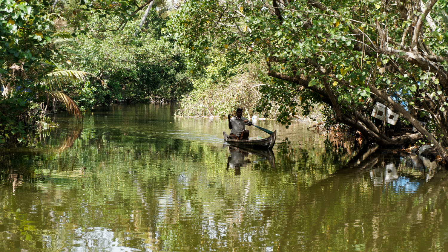 Backwaters, Kerala