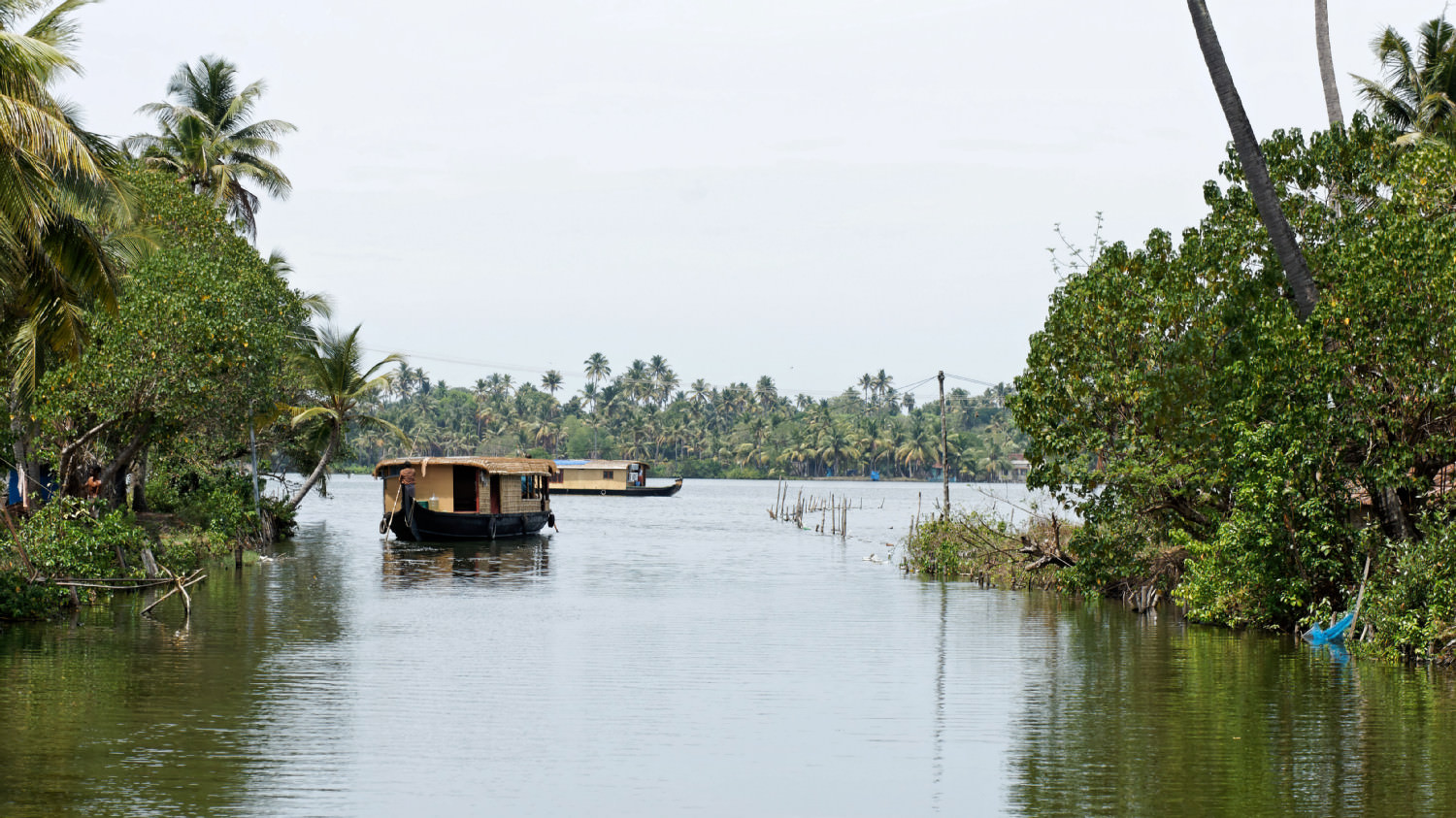 Backwaters, Kerala