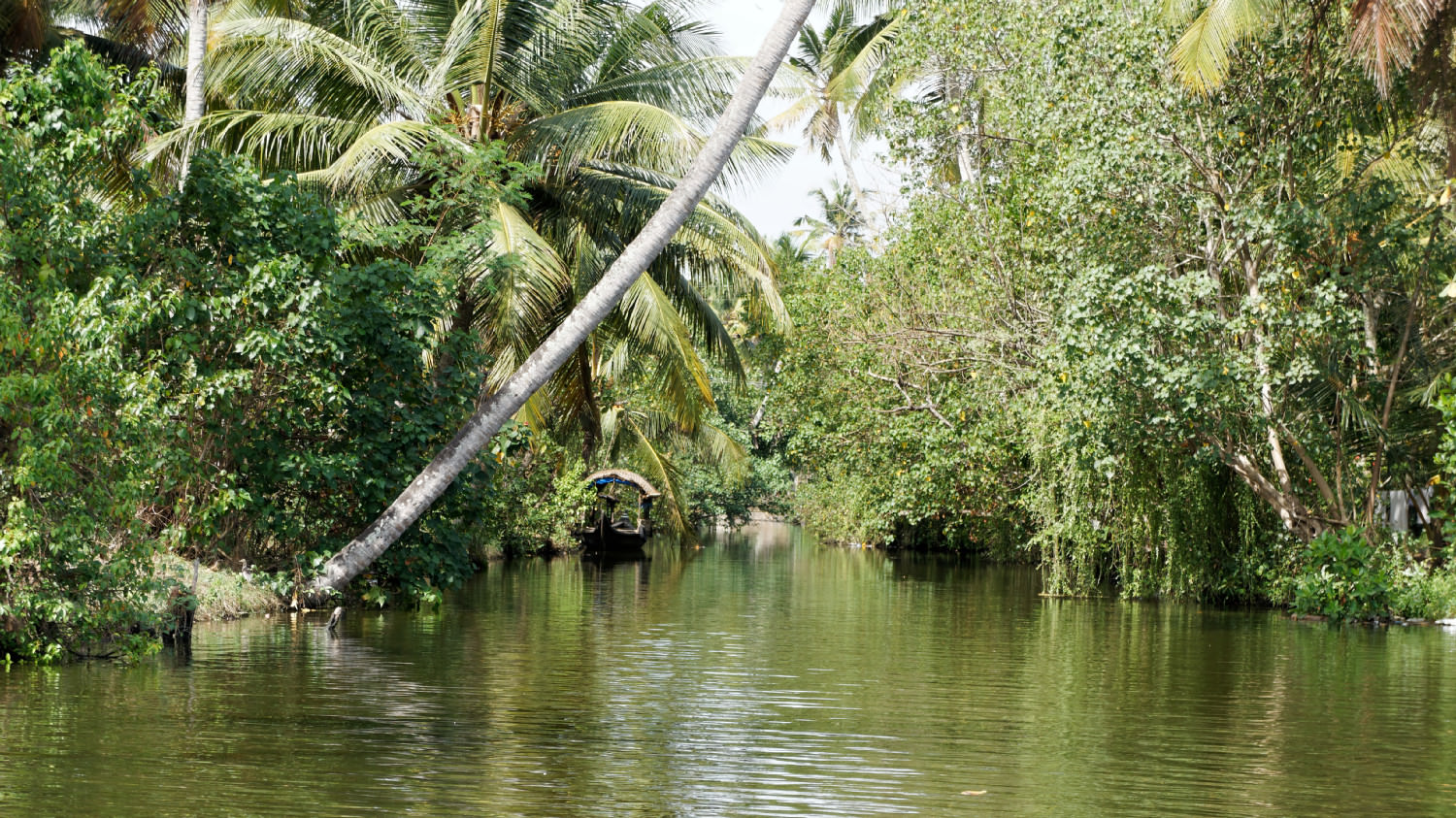 Backwaters, Kerala