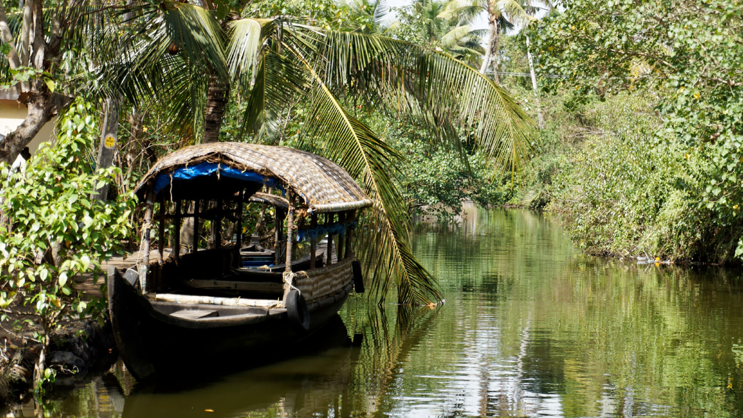 Backwaters, Kerala