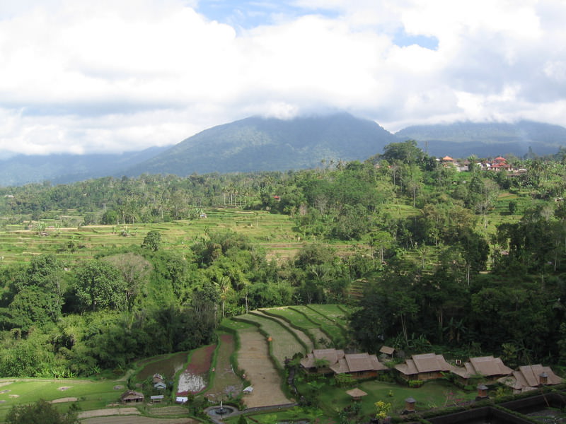 Bali countryside