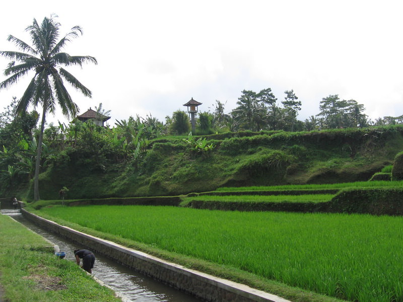 Bali, Ubud