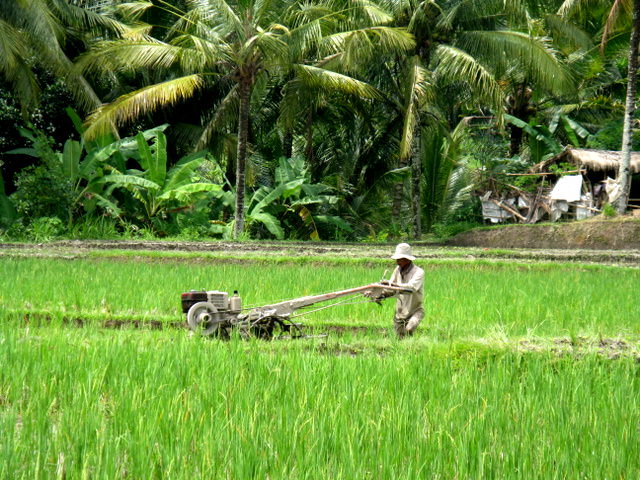 BALI
