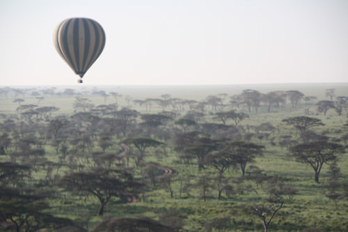 Balloon safari