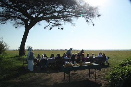 Balloon safari