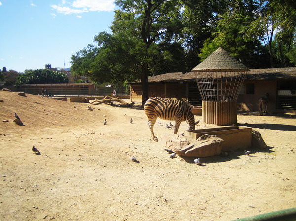 Barcelona Zoo
