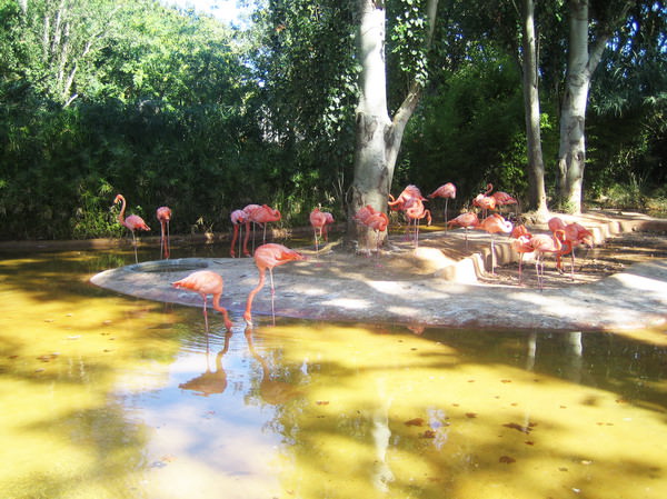 Barcelona Zoo