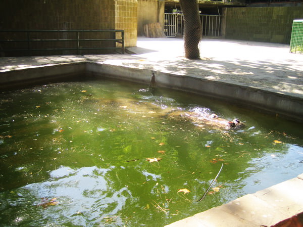 Barcelona Zoo