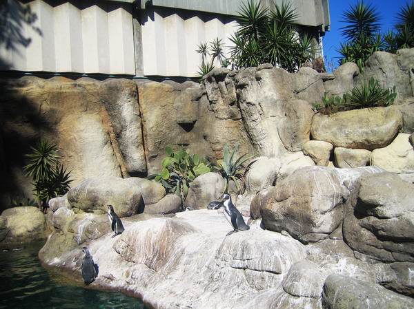 Barcelona Zoo
