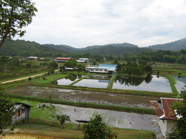 Bario, Kelabit Highlands, Sarawak