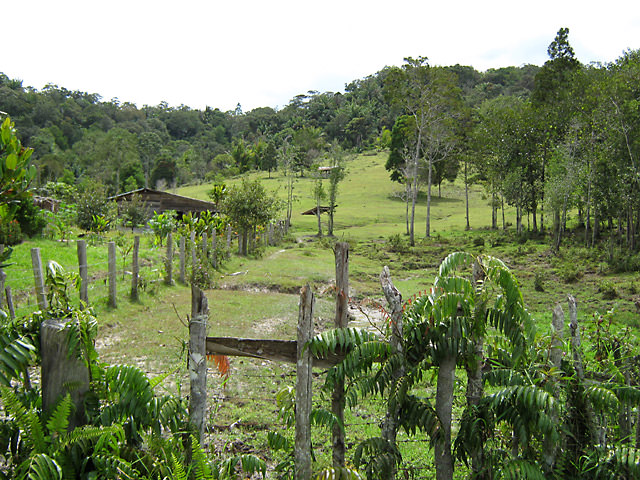 Bario, Kelabit Highlands, Sarawak