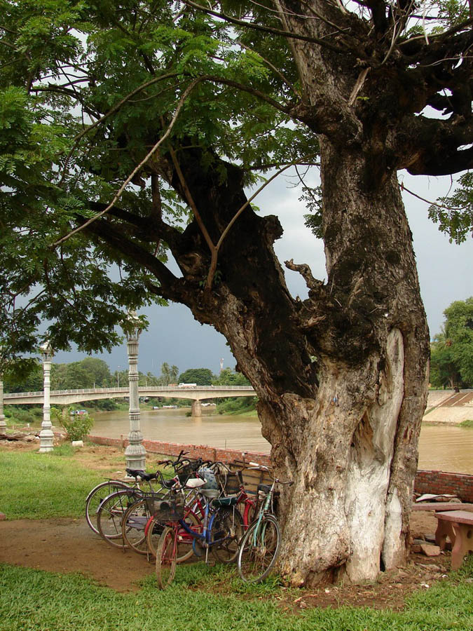 Battambang, Καμπότζη