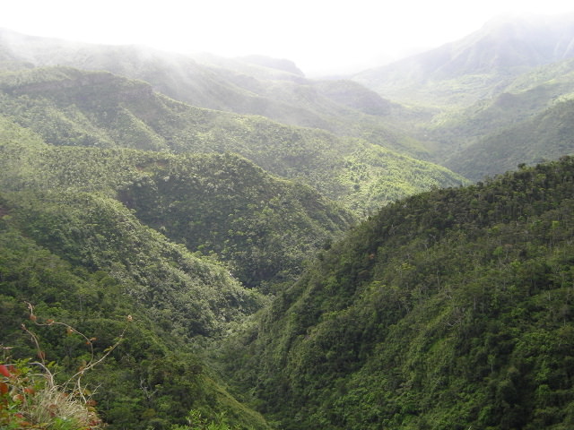 Black River (φαράγγι και εθνικό πάρκο)