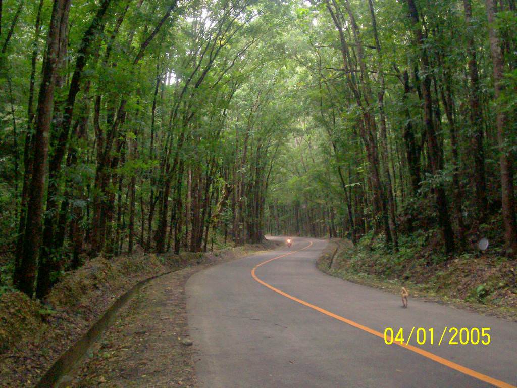 Bohol island