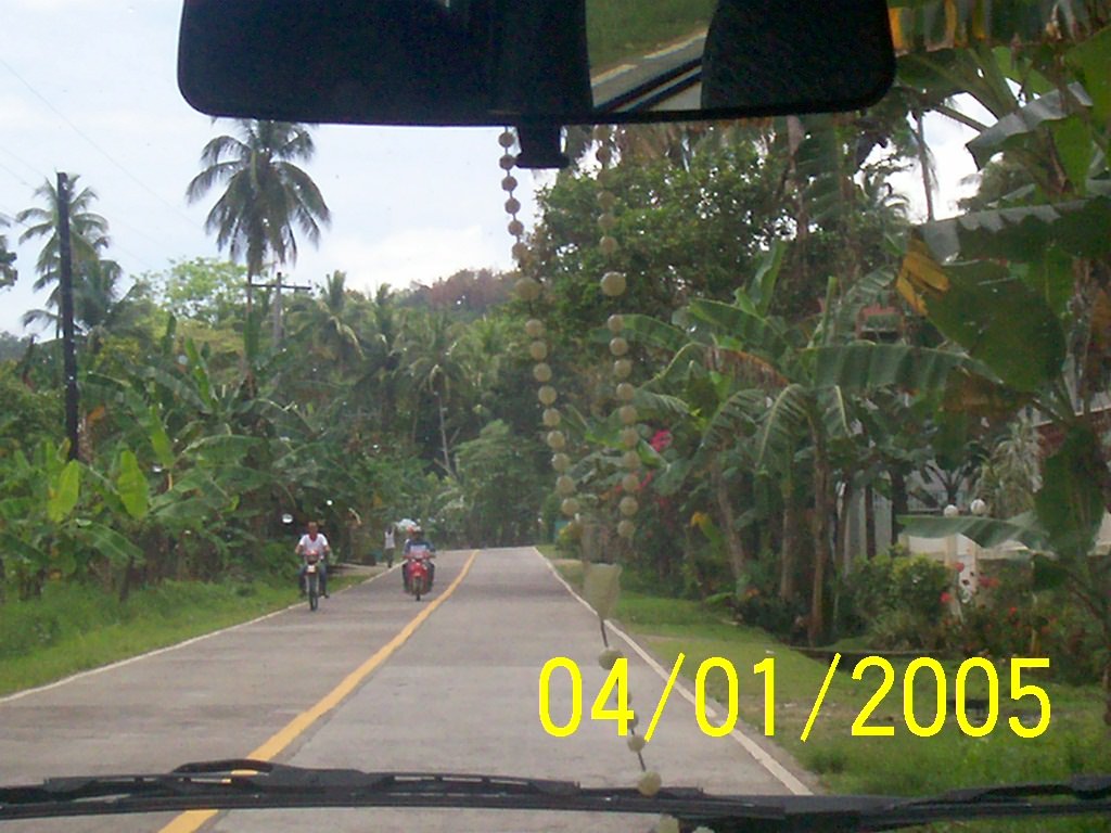 Bohol road