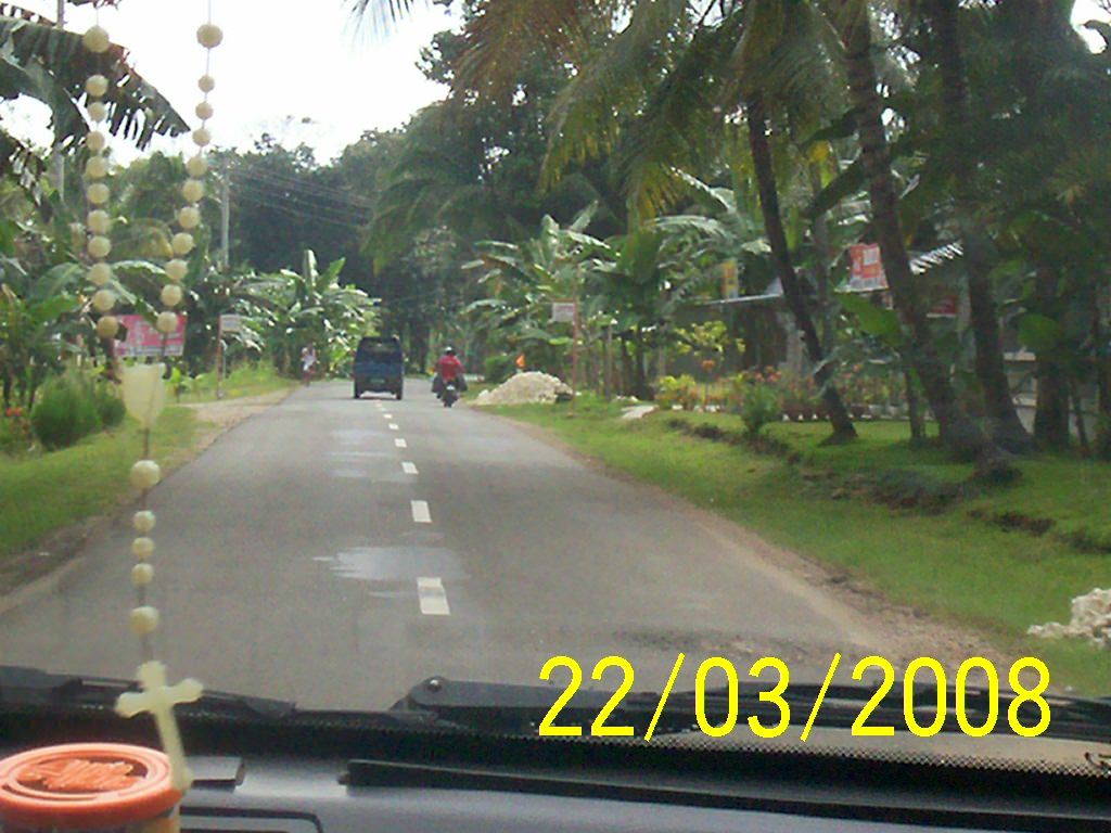 Bohol road