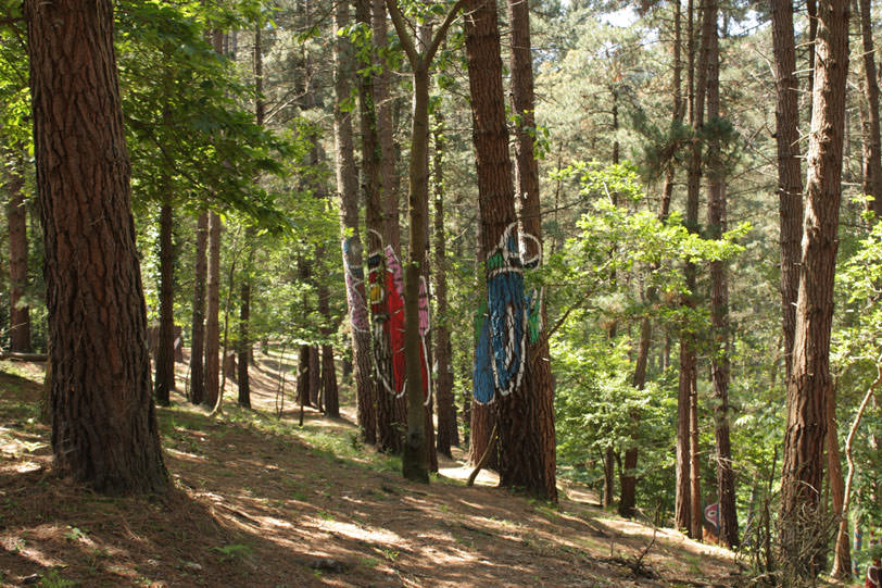 Bosque pintado