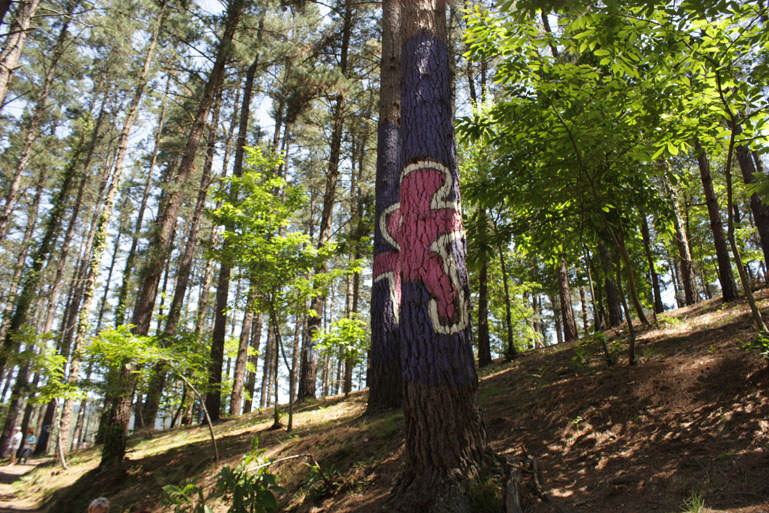 Bosque pintado