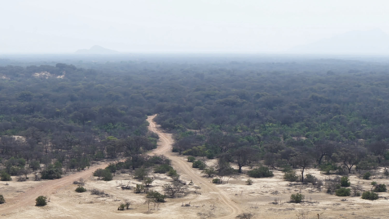 Bosques de Pomac