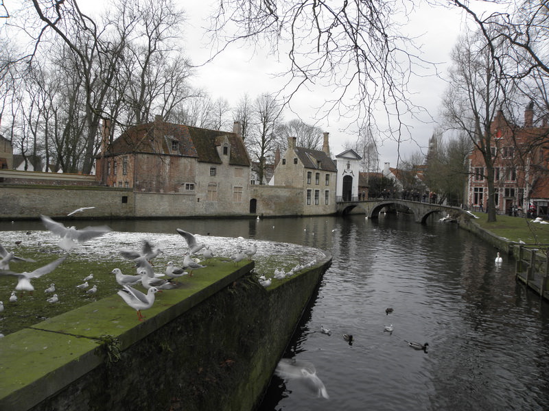 brugge......