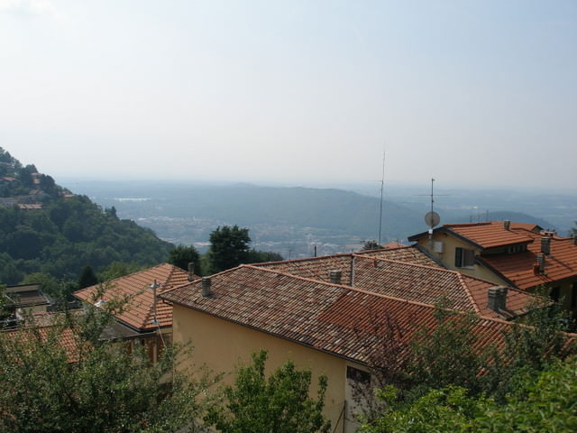 brunate