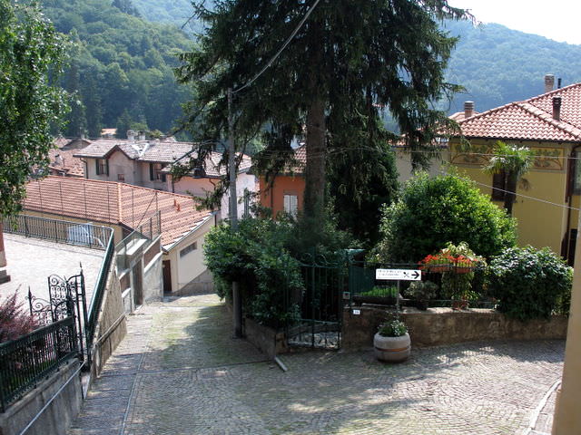 brunate