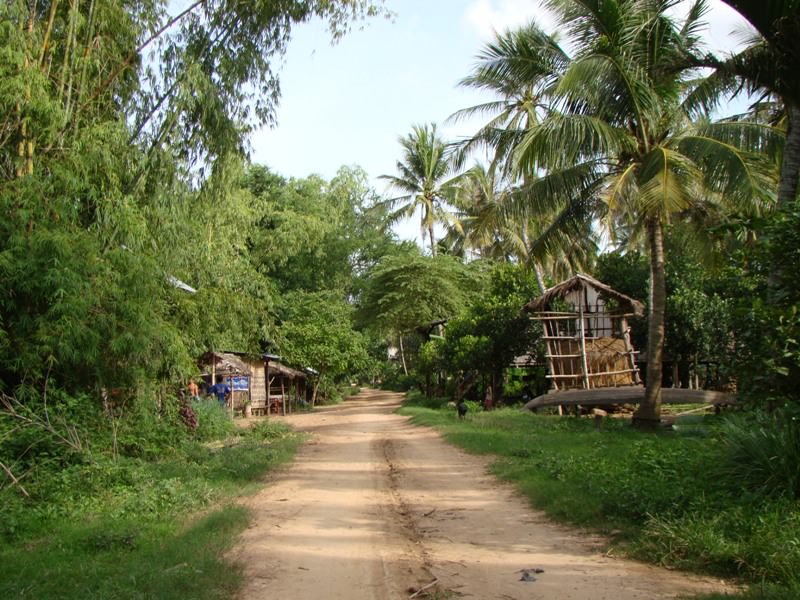 cambodia 8/2011 Kratje-island in Mekong