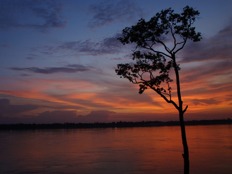 cambodia 8/2011 Kratje -Mekong rv.