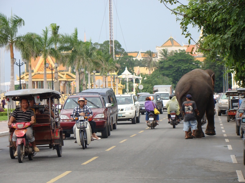 cambodia 8/2011 Pnom Penh