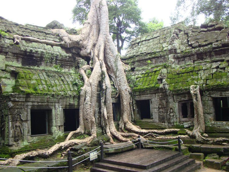 Cambodia Siem Reap-Ta Prohm